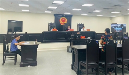 Phòng 10 Viện KSND thành phố Hà Nội phối hợp với Tòa hành chính TAND...